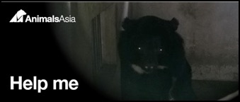 AnimalsAsia banner with bear